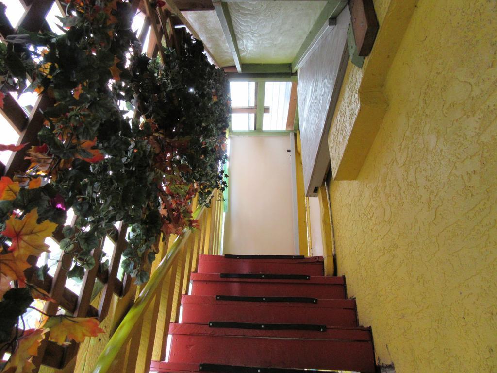 Turtle Hostel Victoria Ngoại thất bức ảnh