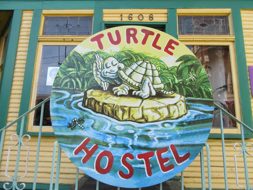 Turtle Hostel Victoria Ngoại thất bức ảnh