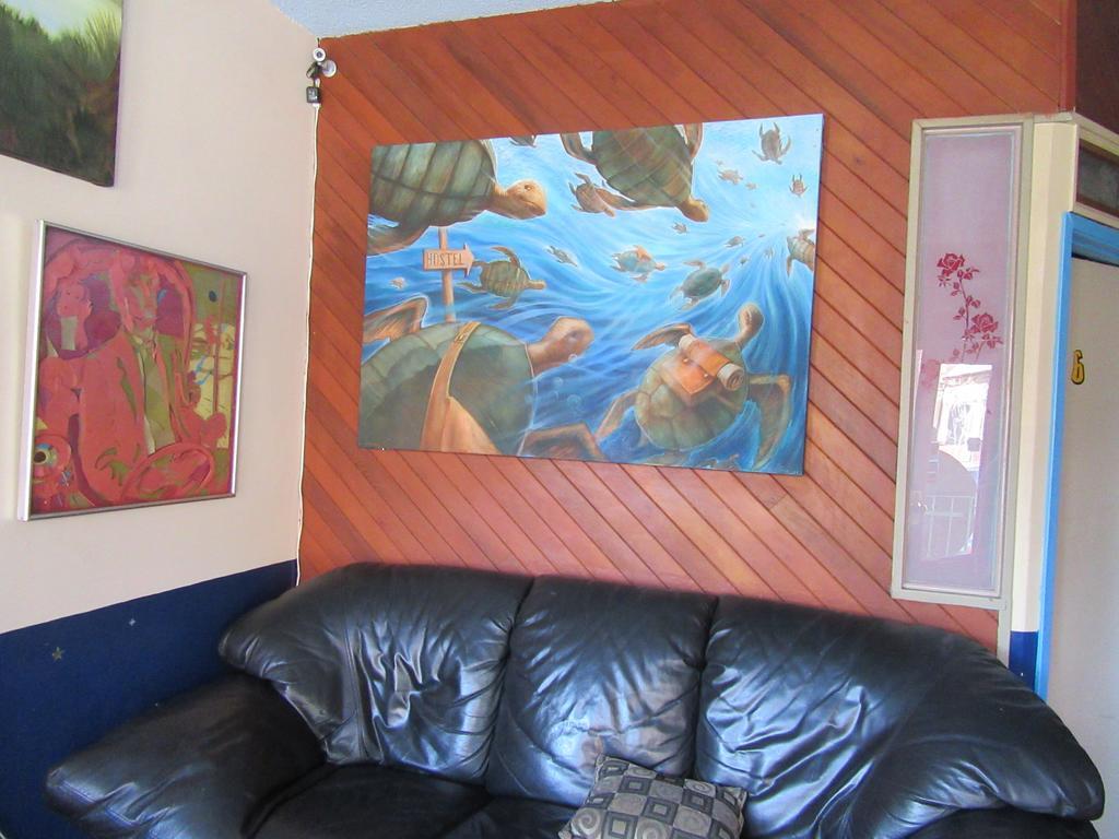 Turtle Hostel Victoria Ngoại thất bức ảnh