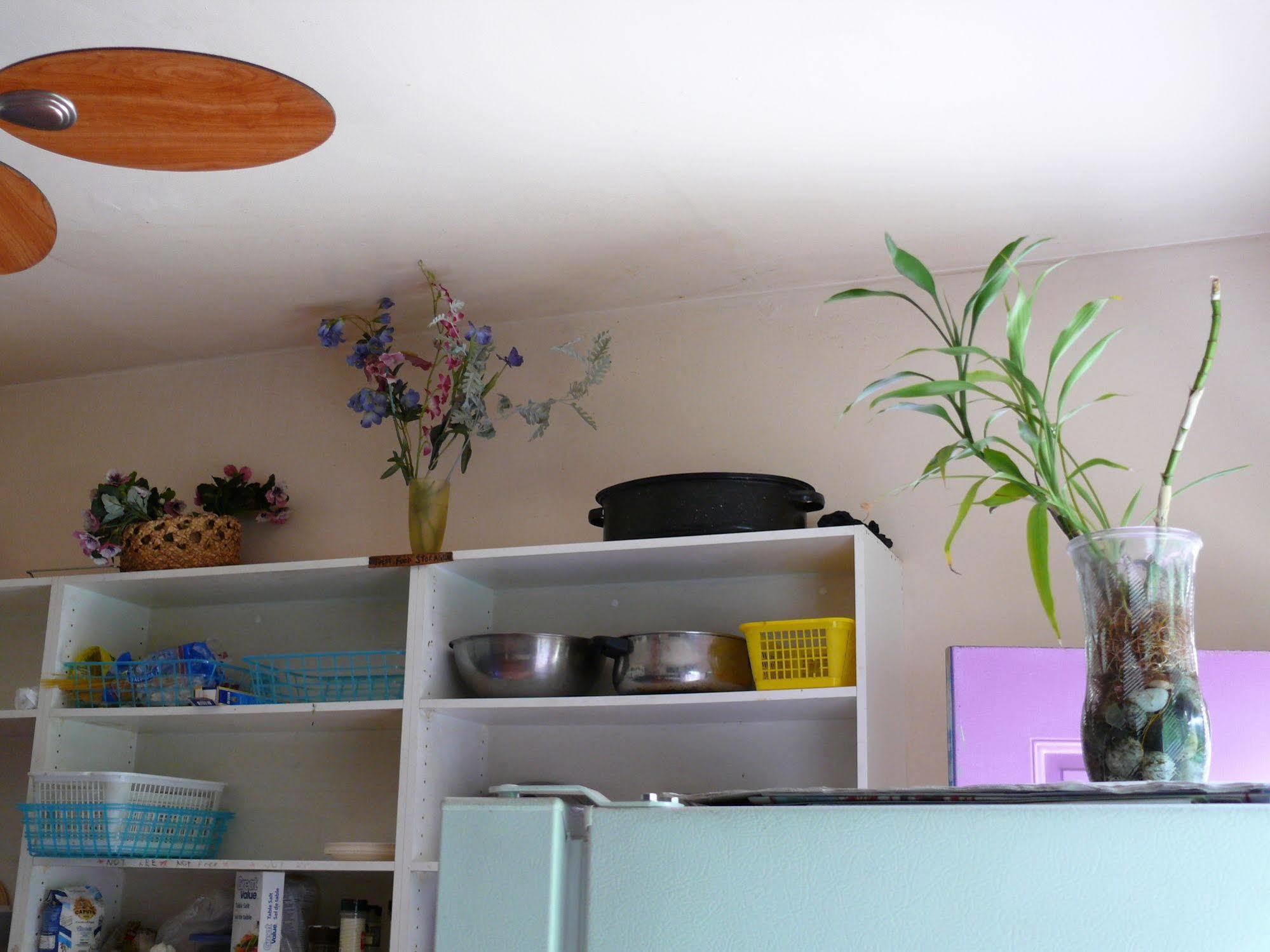 Turtle Hostel Victoria Ngoại thất bức ảnh